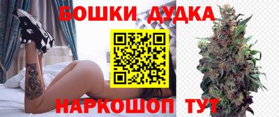 сатива Малгобек