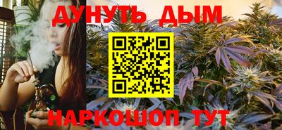 сатива Малгобек