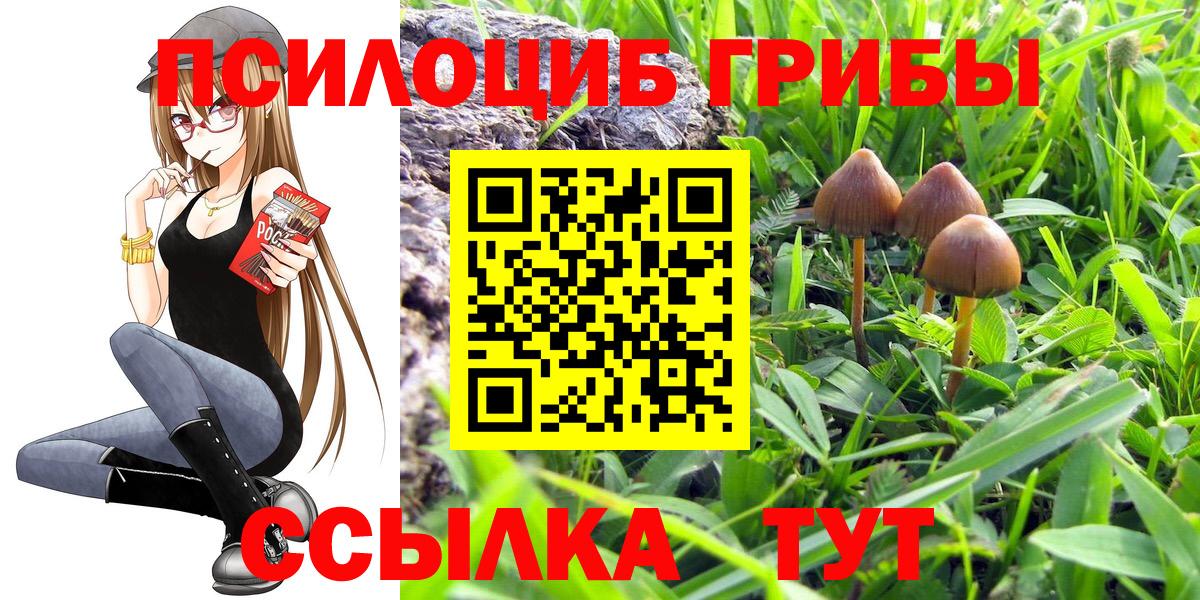 Псилоцибиновые грибы MAGIC MUSHROOMS  Вход с VPN  Сорочинск 