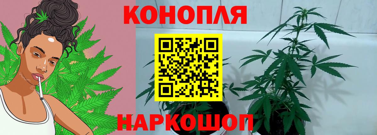 Каннабис марихуана  Конопля гибрид  Вход с VPN  Бошки Шишки LSD WEED  Конопля VHQ  Сорочинск 